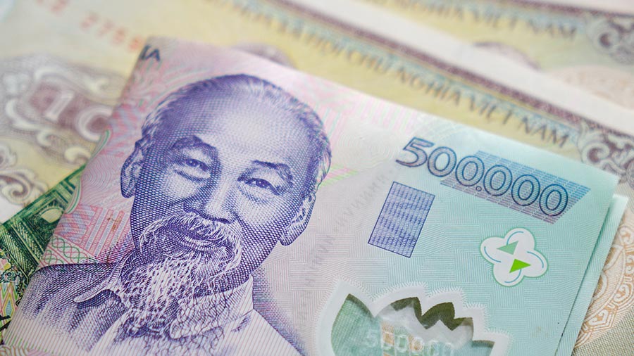 从越南汇出利润：外国投资者的简介