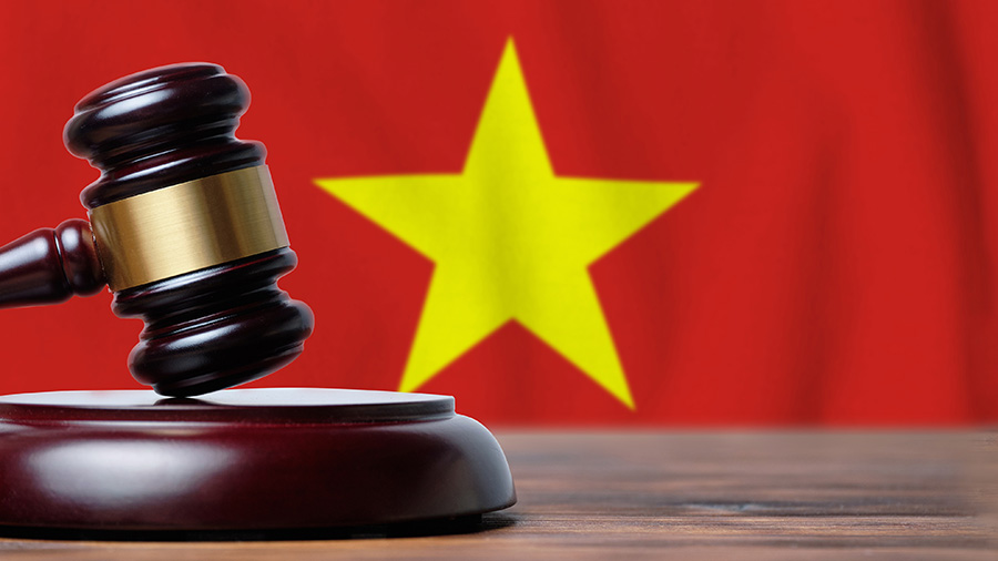 越南发出的解决方案支持受Vovid-19的企业