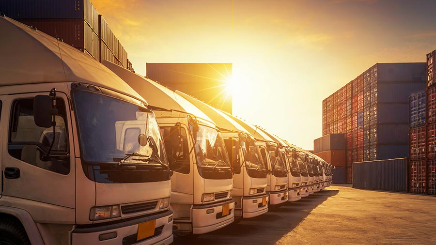 2023年在越南寻找分销商：外国企业的注释