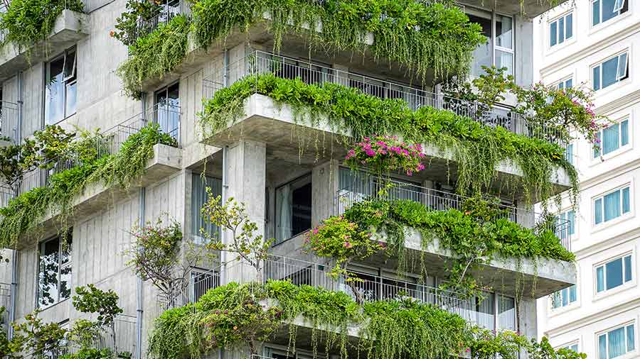 越南的绿色建筑：它们的可持续性如何？