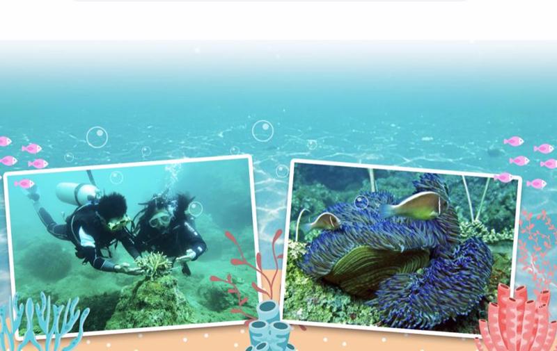 Quang Nam的目标是领导越南​​绿色增长