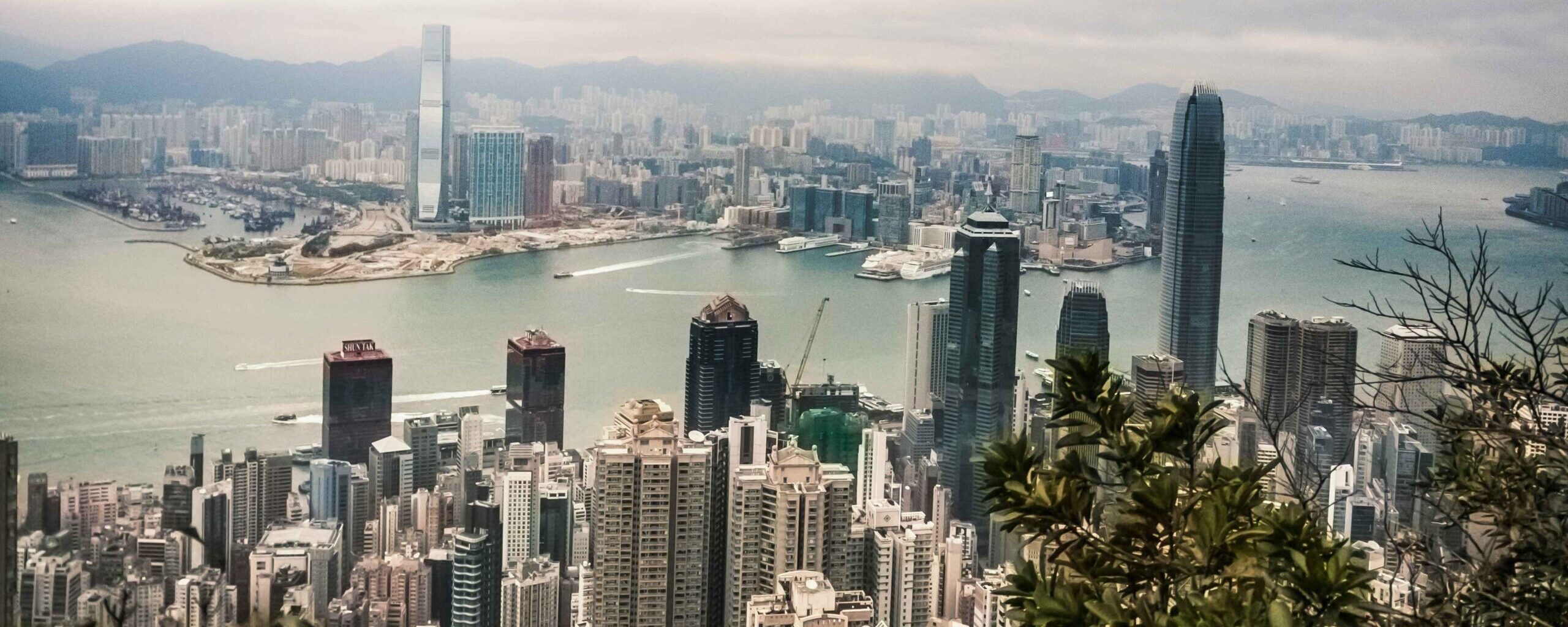 2024年有关公司标志的信息和法规