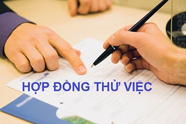 劳动合同中规定的试用期必须支付社会保险