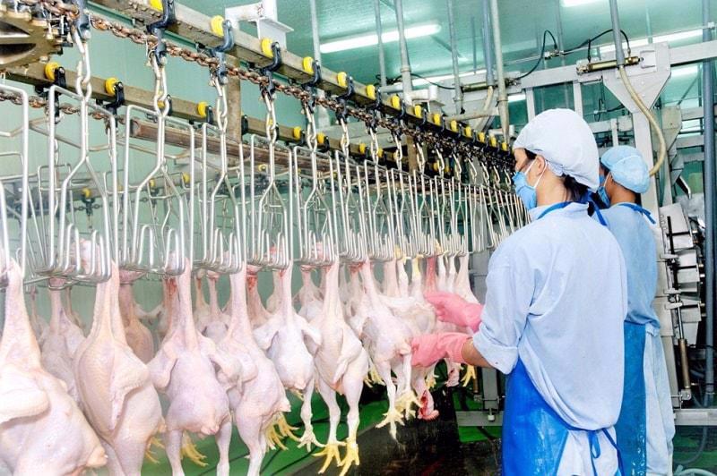 新加坡想从越南进口更多类型的食品