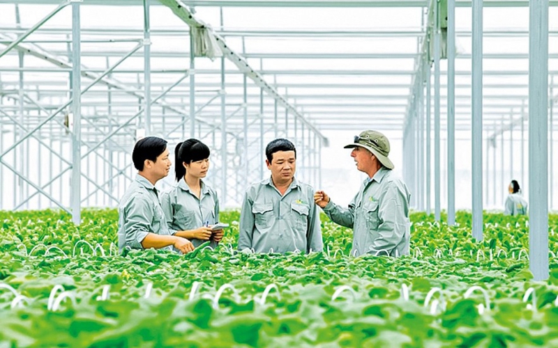 越南为绿色投资项目设定了官方标准