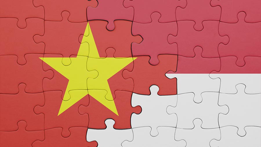 越南-印尼全面战略伙伴关系：未来展望