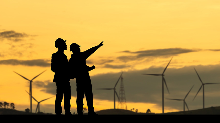 越南第 115 号法令：土地使用项目招标要求