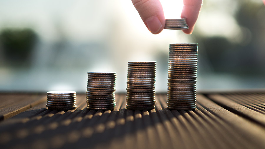 越南的工资获取服务：概念和范围