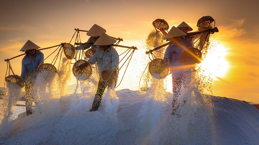 越南批准 2021 年劳动法