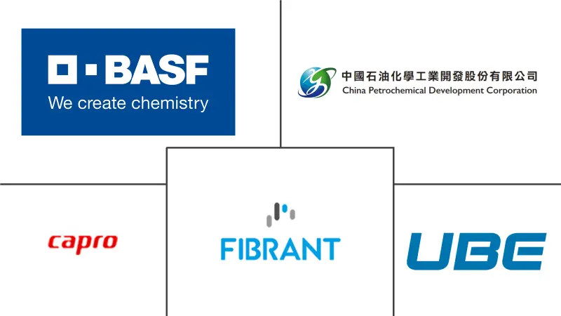己内酰胺市场规模
