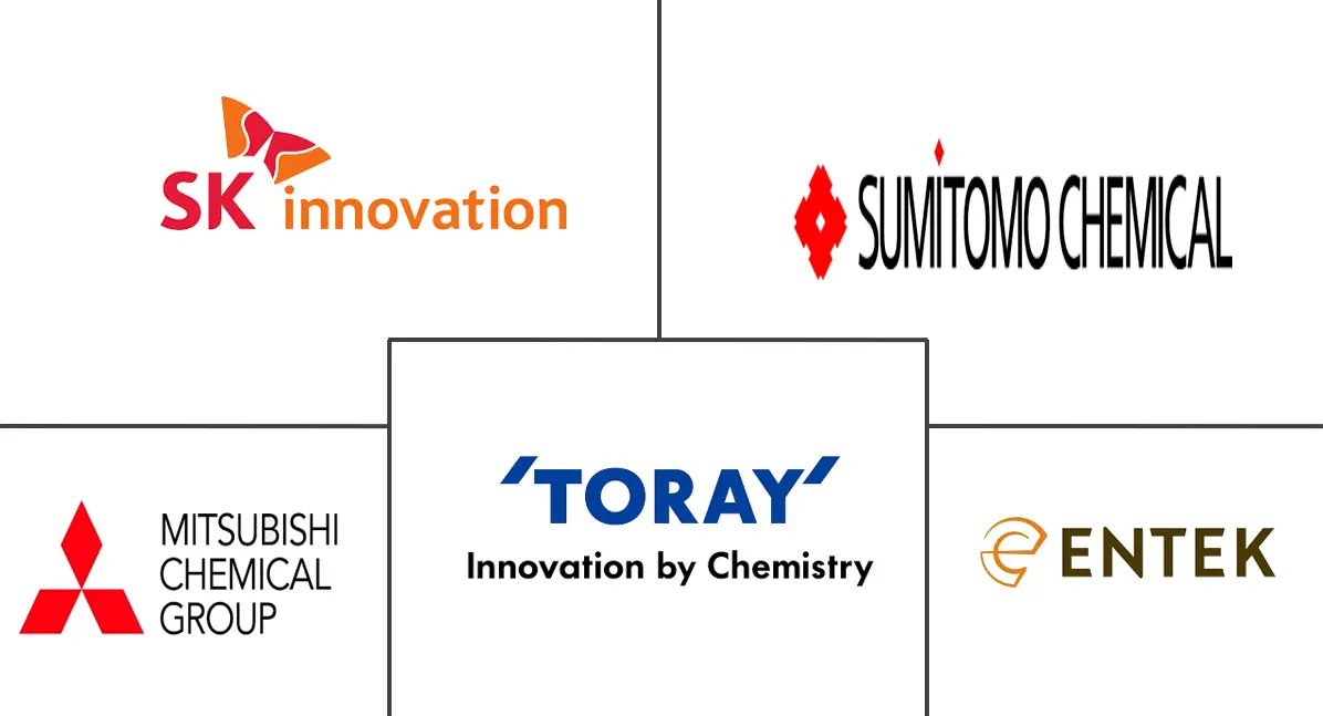 南美电动汽车电池分离器市场规模