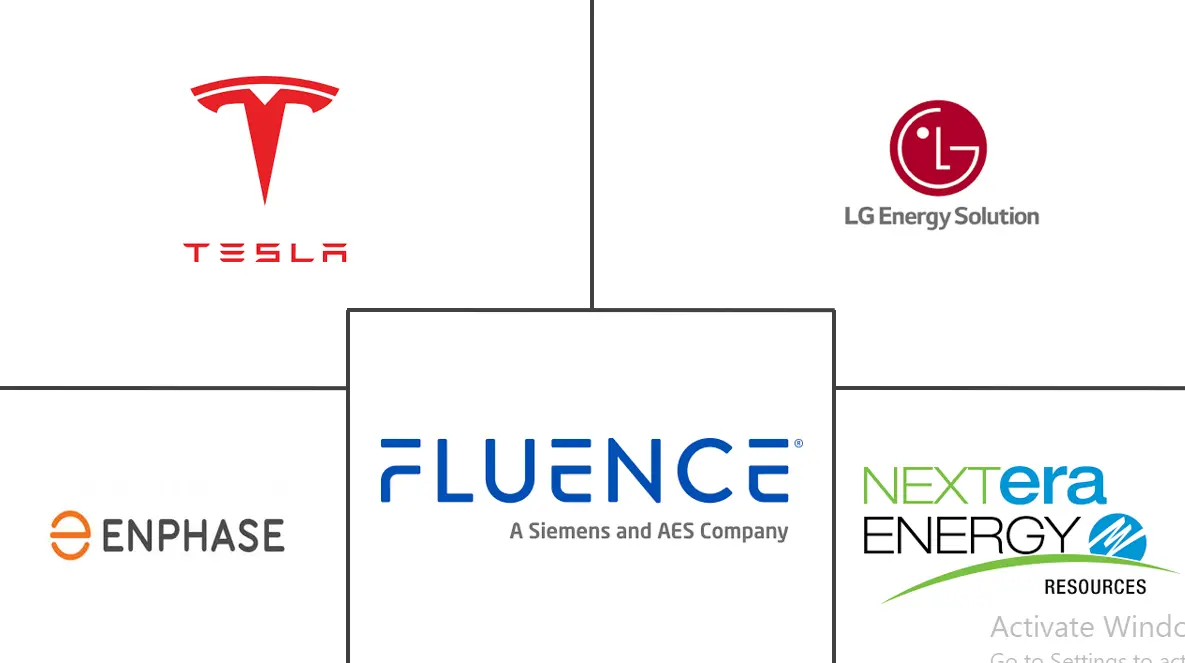 2025-2030 年美国储能市场规模和份额分析、增长趋势和预测
