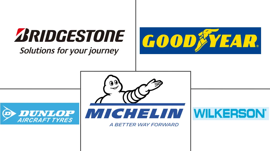 欧洲飞机轮胎市场规模