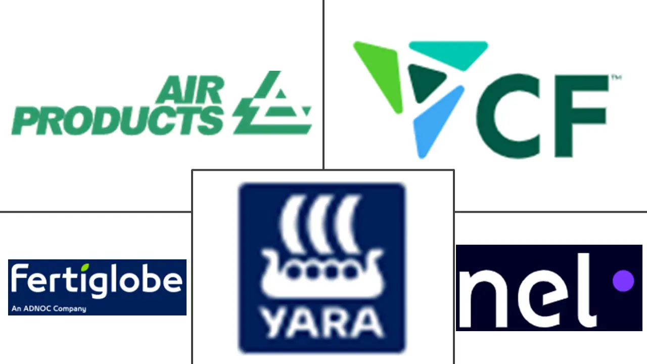 绿氨市场规模及份额