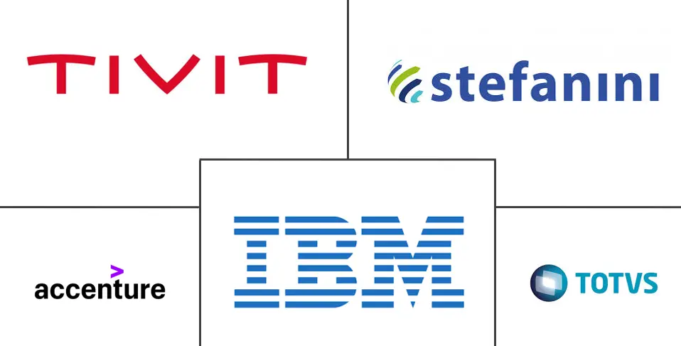 巴西 IT 服务市场规模和份额