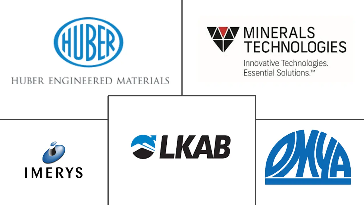 聚合物填料市场规模和份额