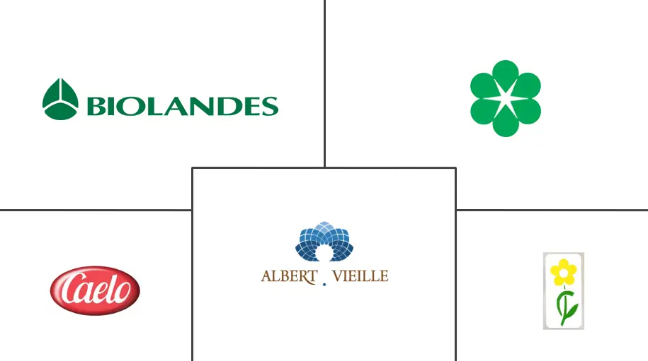 Benzoe Siam 市场规模