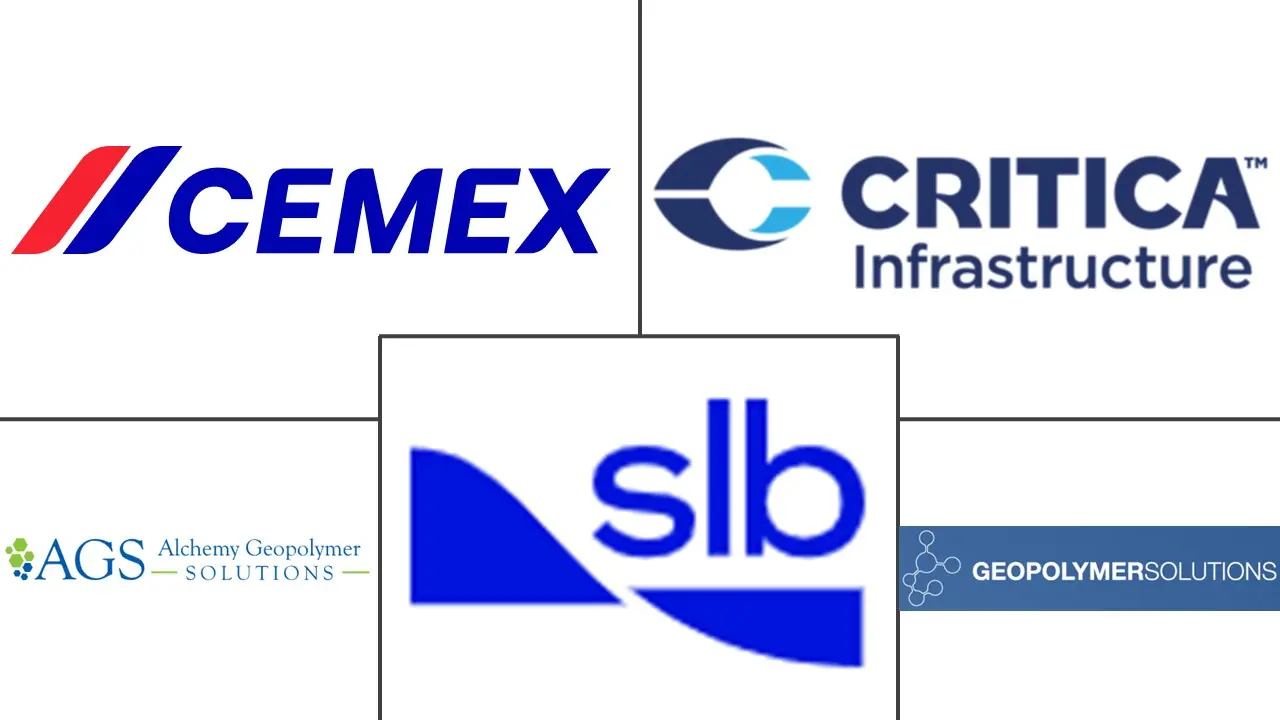 北美地聚合物市场规模