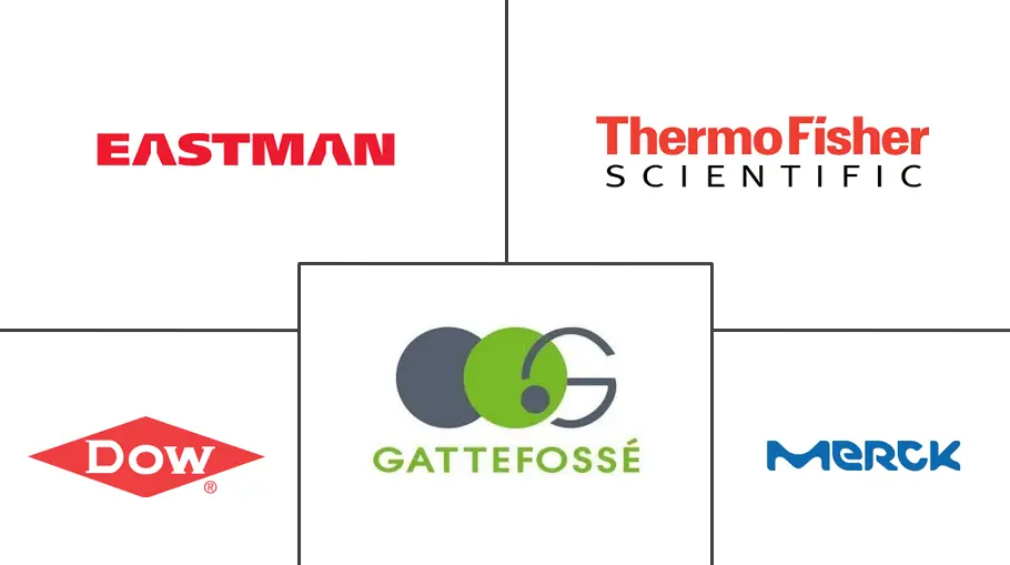 乙氧基二甘醇市场规模