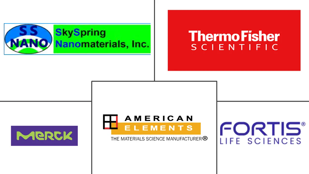 磁铁矿纳米颗粒市场规模和份额