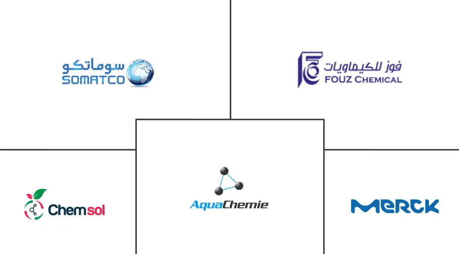 沙特阿拉伯硫代硫酸钠市场规模
