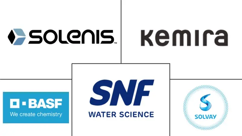 欧洲聚丙烯酰胺市场规模
