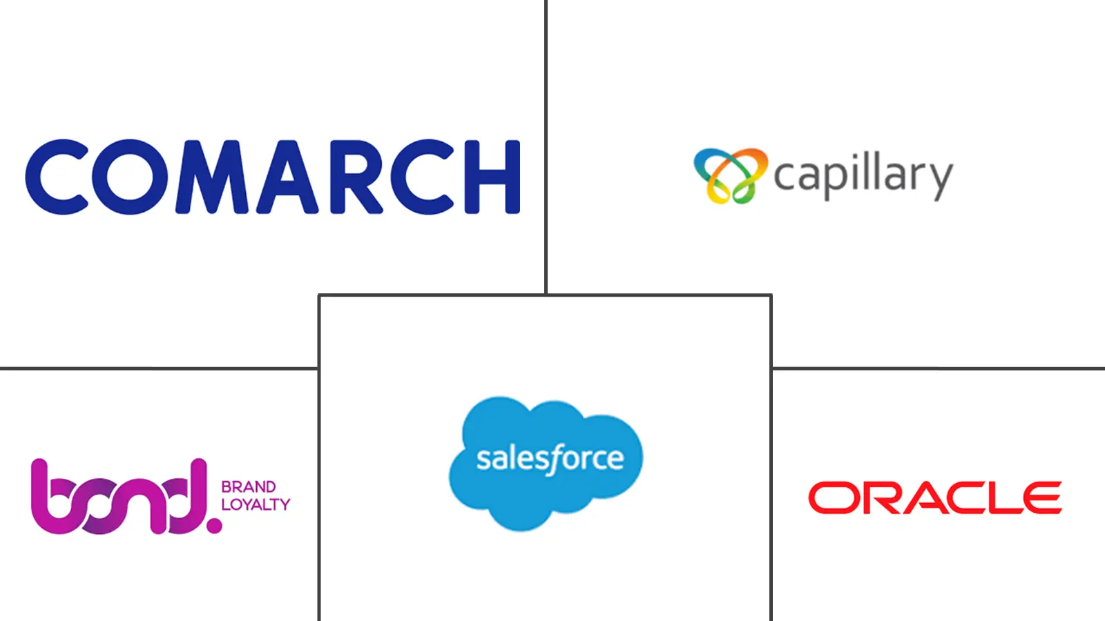下一代客户忠诚度市场规模和份额