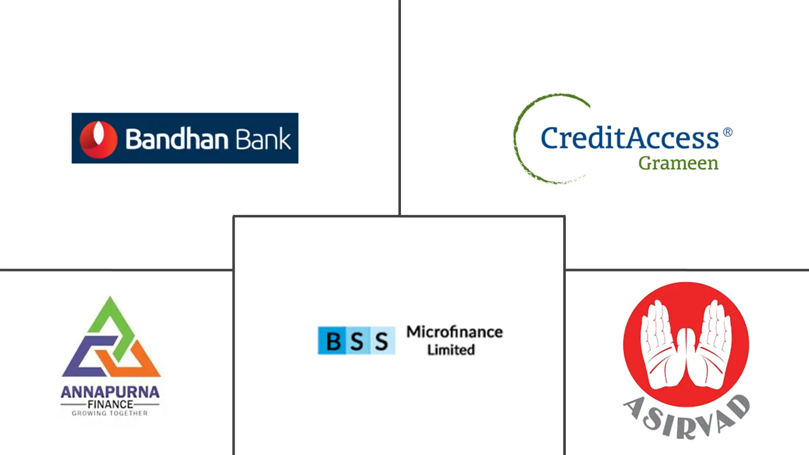 小额金融市场规模及份额