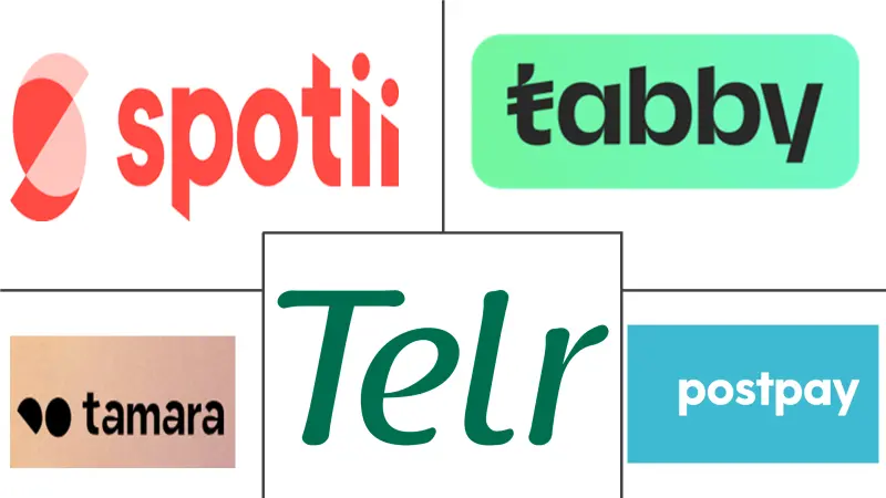 沙特阿拉伯先买后付服务市场规模和份额分析