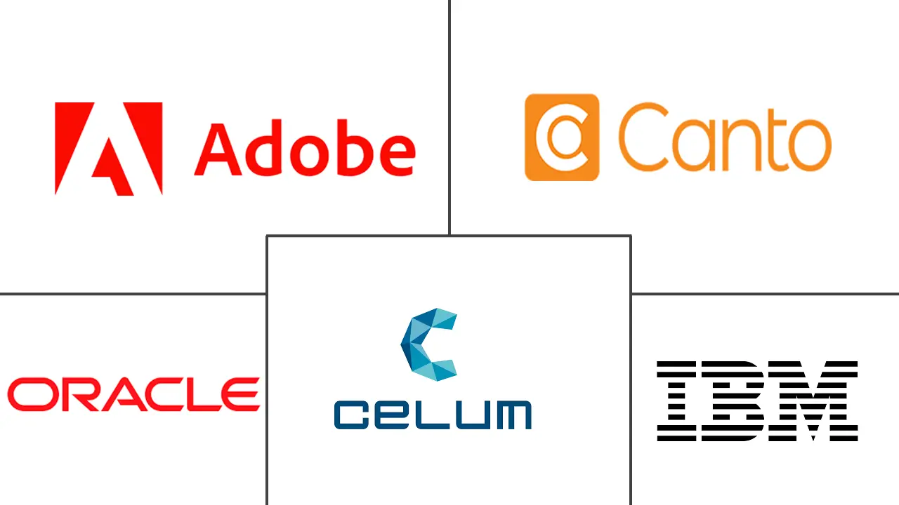 数字资产管理市场规模和份额