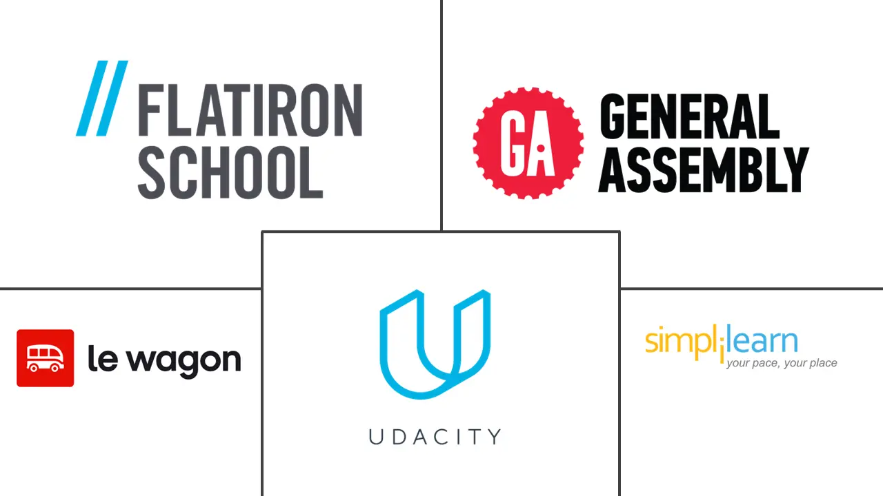 编码训练营市场规模和份额