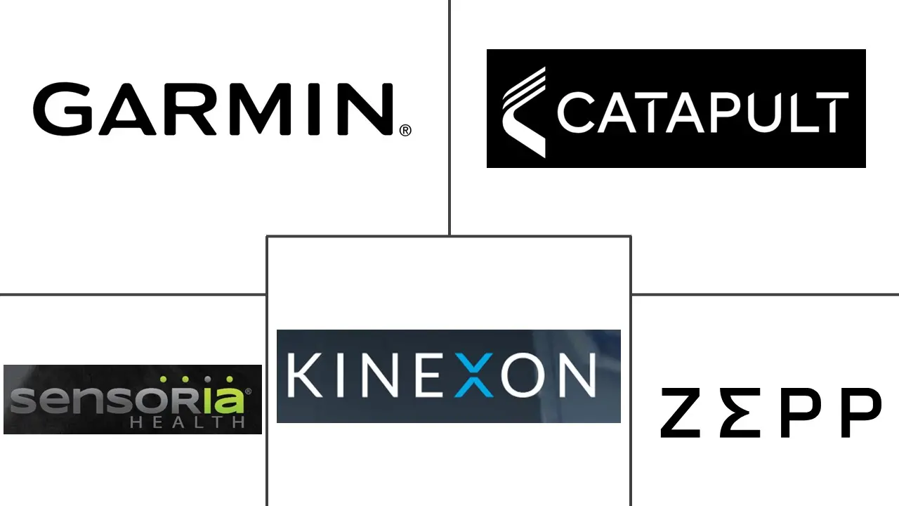 体育运动可穿戴设备市场规模及份额