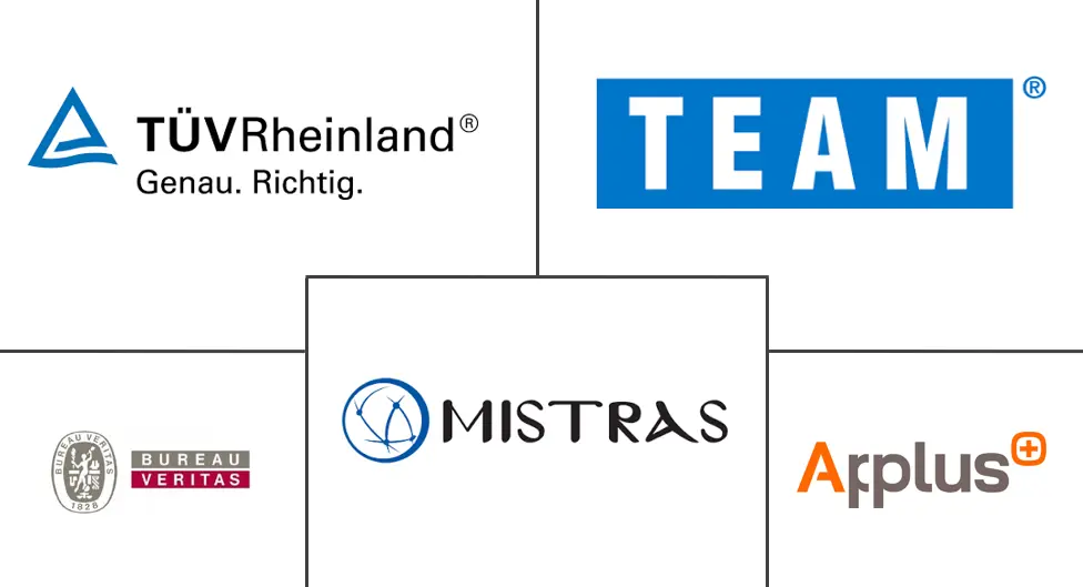 远程和数字无损检测服务市场规模和份额