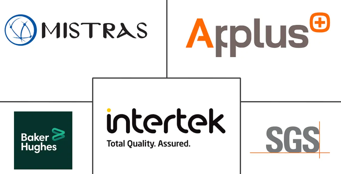 建筑和基础设施无损检测市场规模和份额