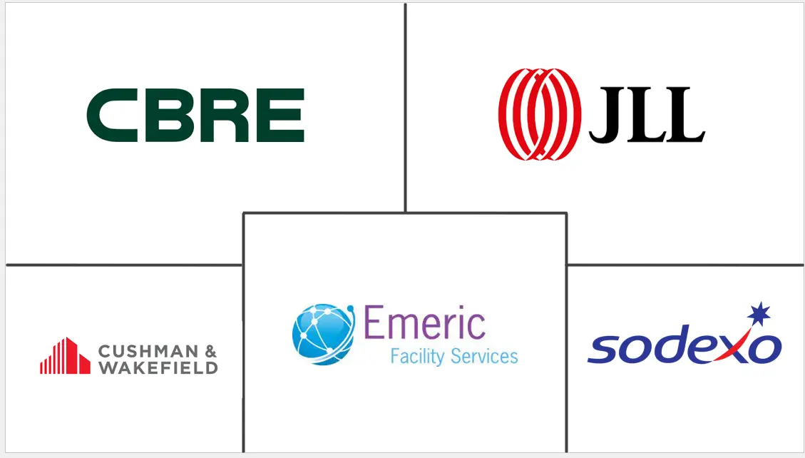 软设施管理市场规模