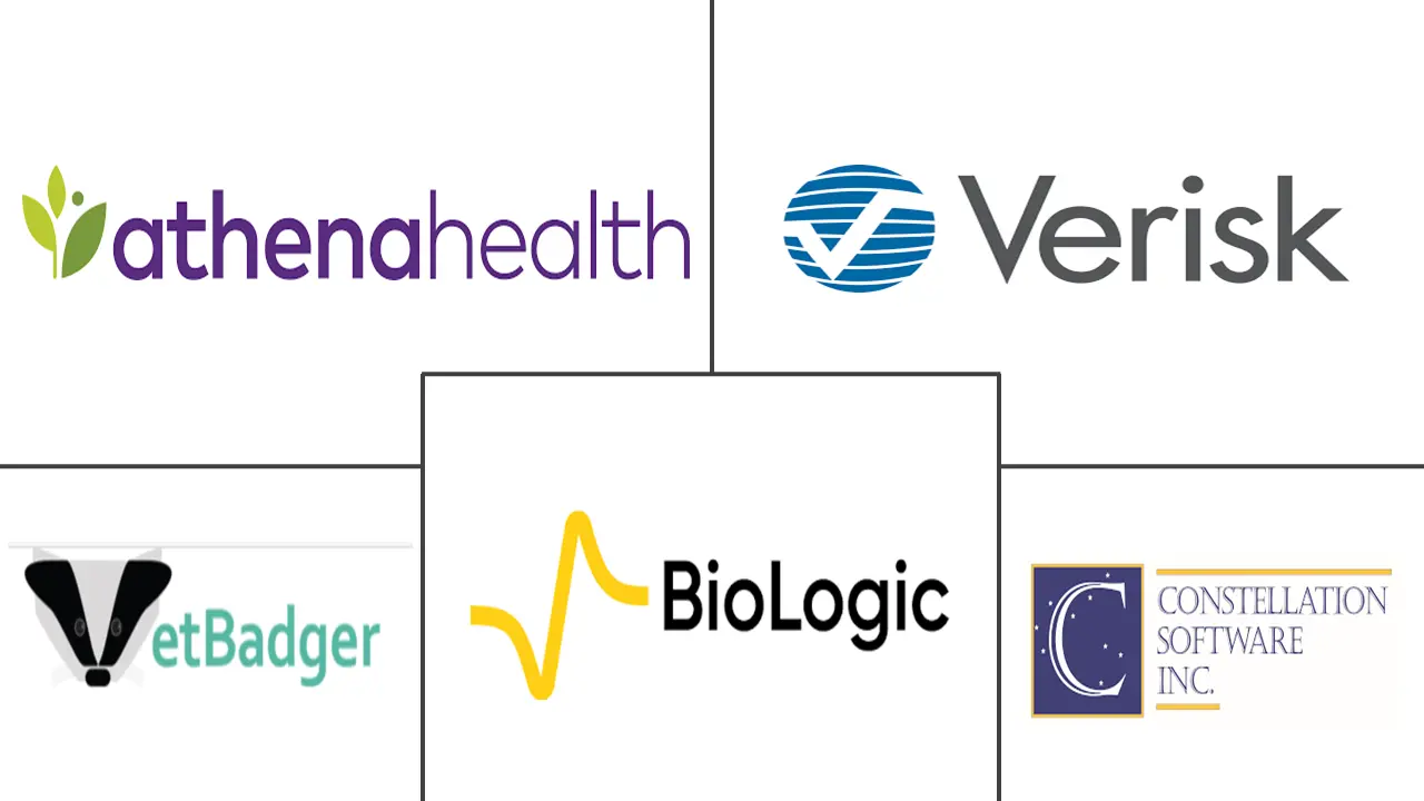 垂直软件市场规模和份额