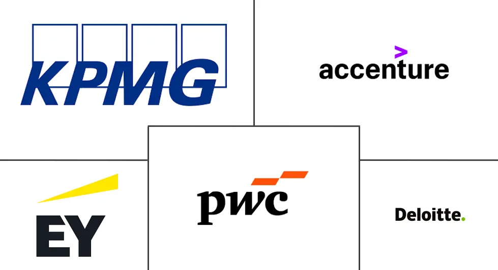 南非管理咨询服务市场规模和份额