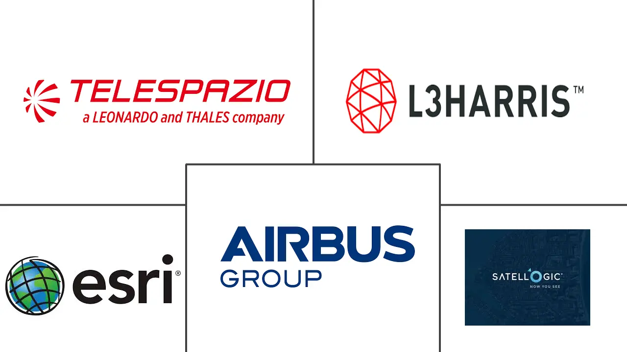 阿根廷卫星图像服务市场规模