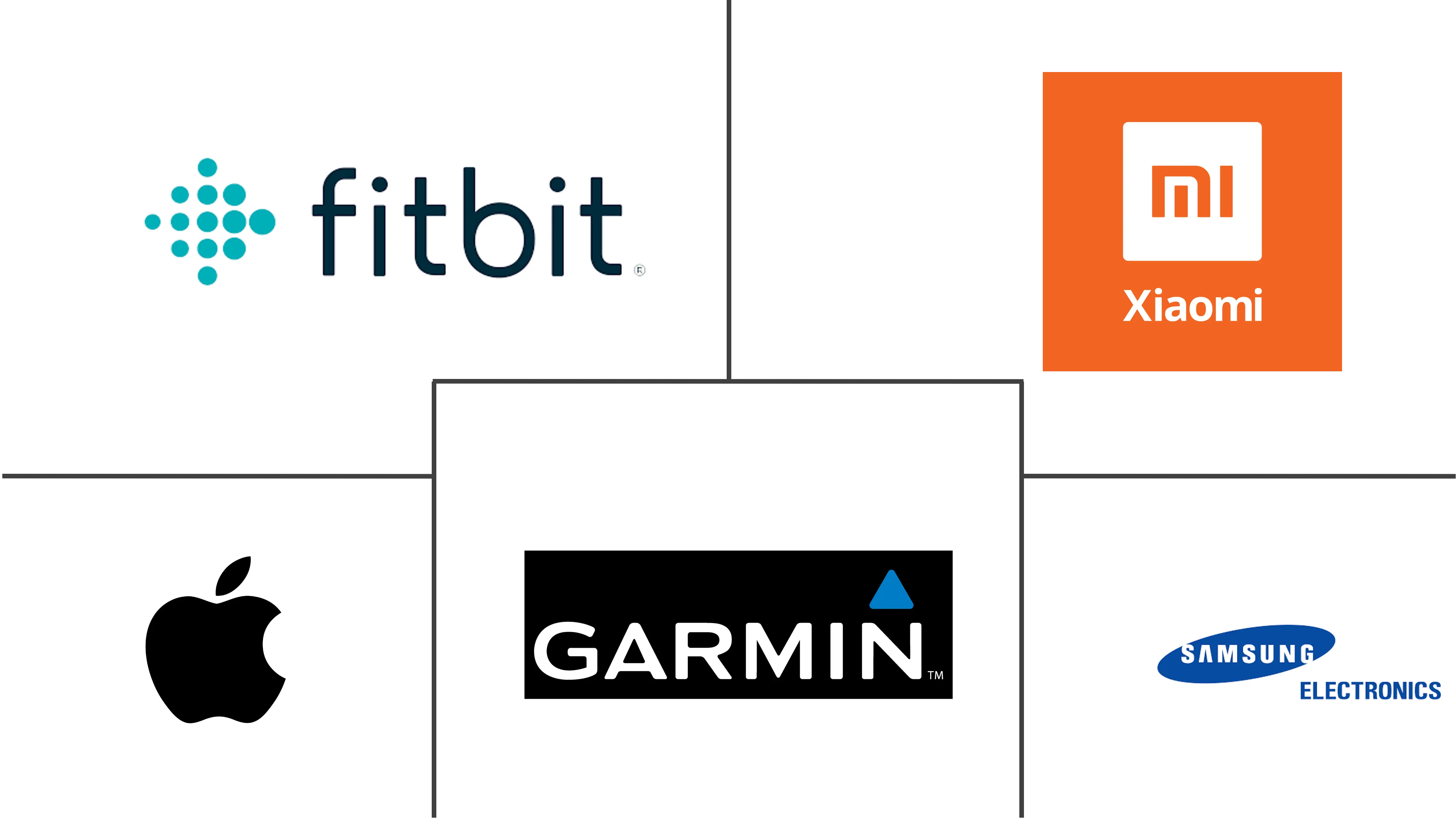 拉丁美洲健身环市场规模