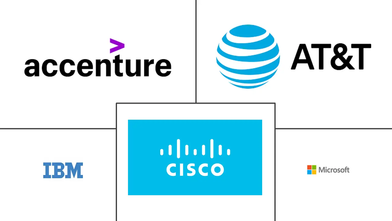 管理信息服务市场规模和份额