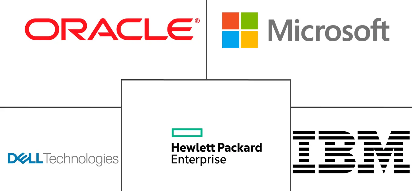 多供应商支持服务市场规模和份额
