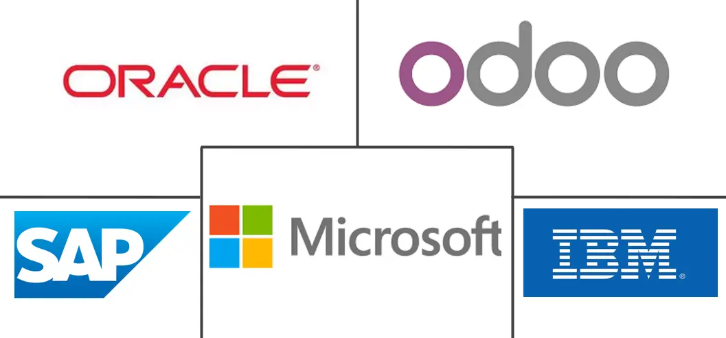 南美洲 IT 市场规模和份额