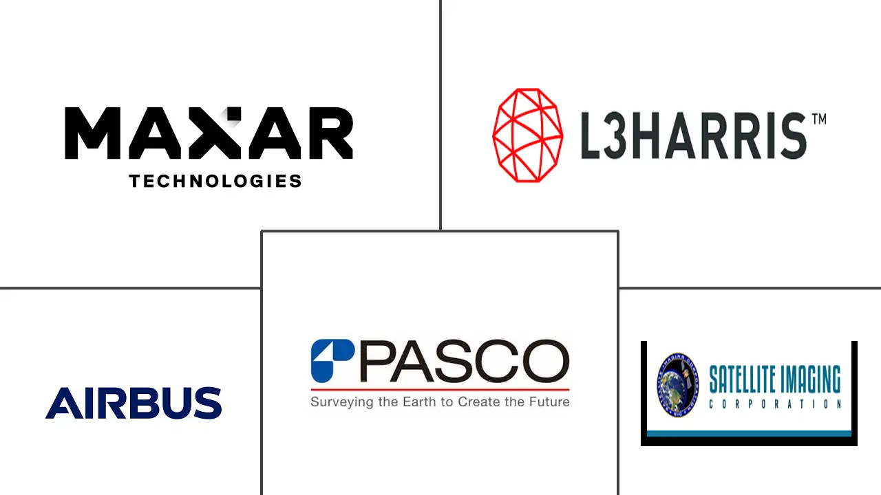 东盟卫星图像服务市场规模