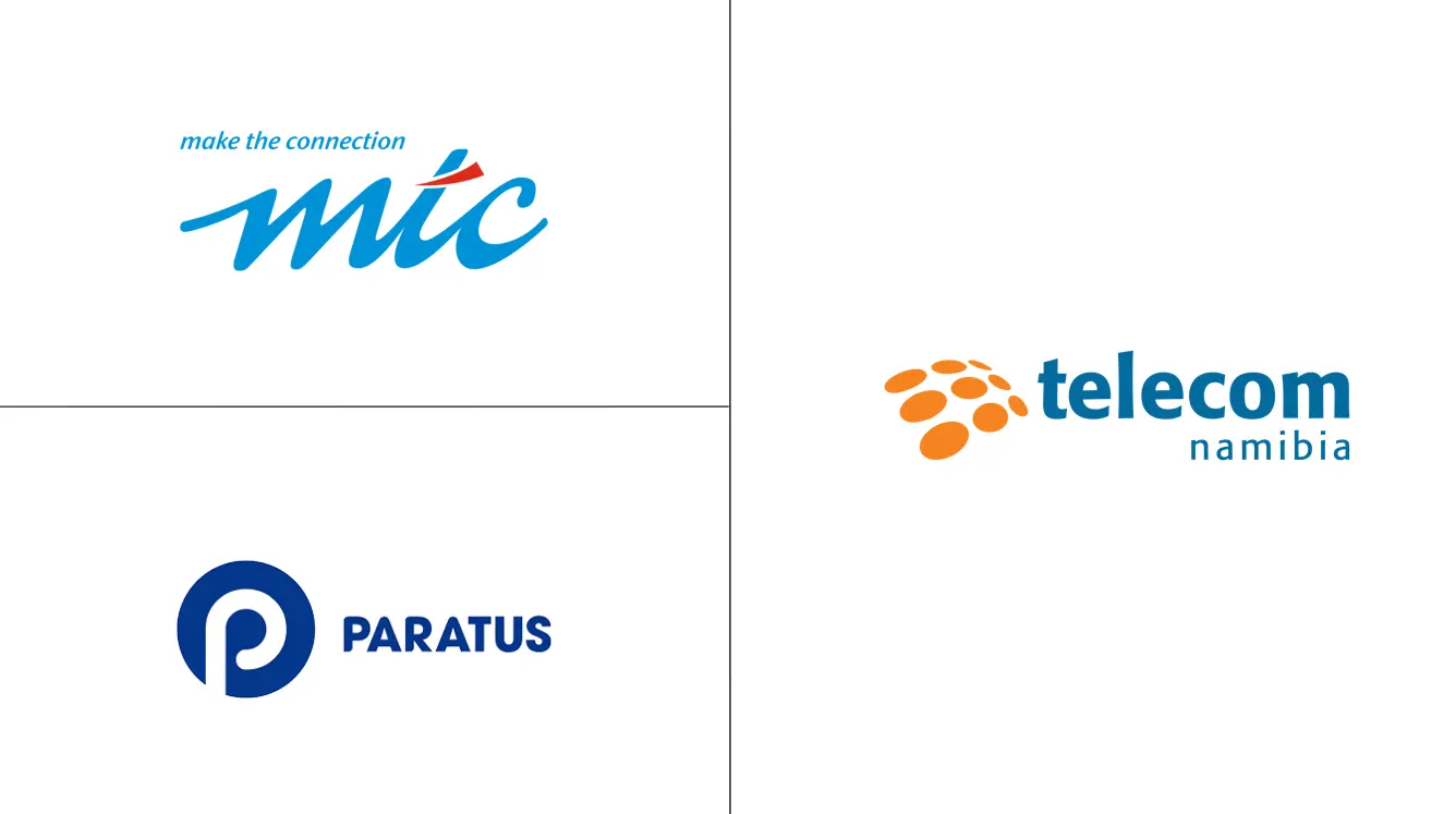 纳米比亚电信 MNO 市场规模和份额