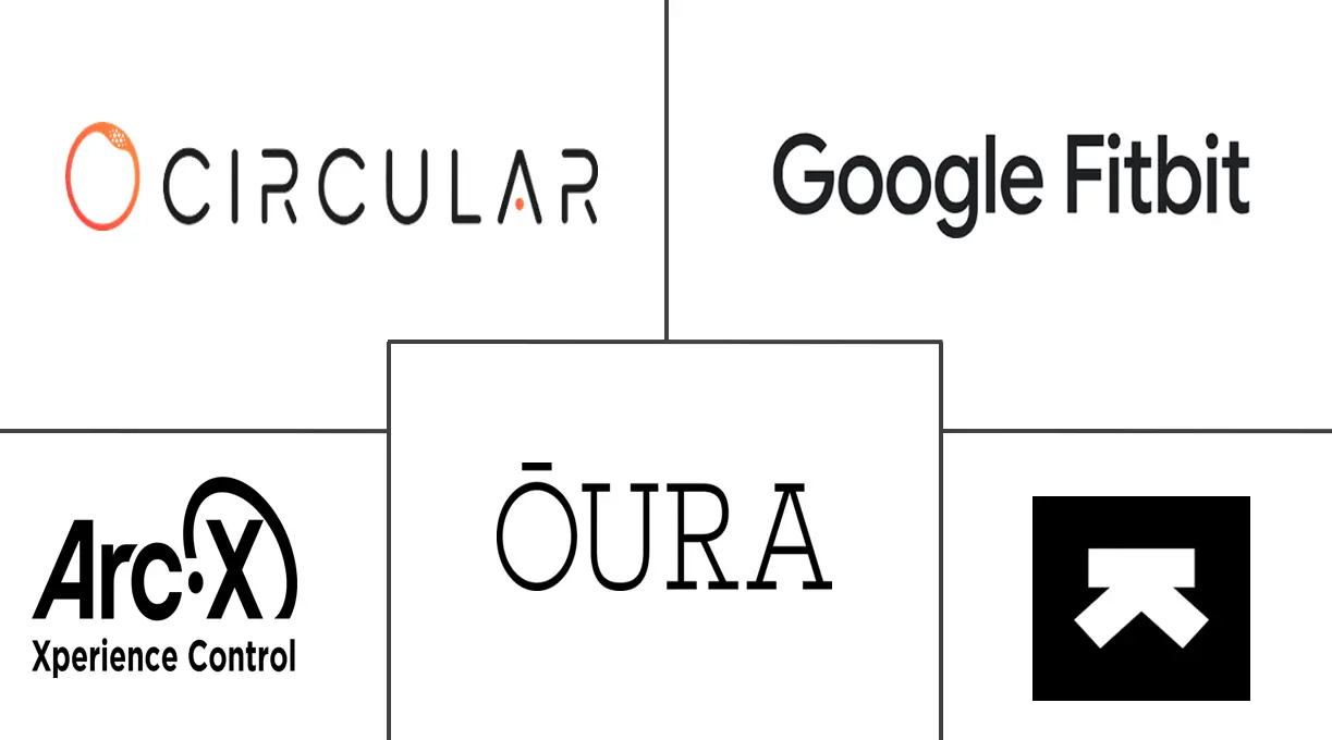 欧洲健身环市场规模