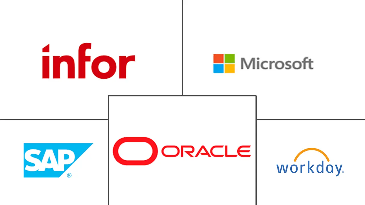 云ERP市场规模及份额