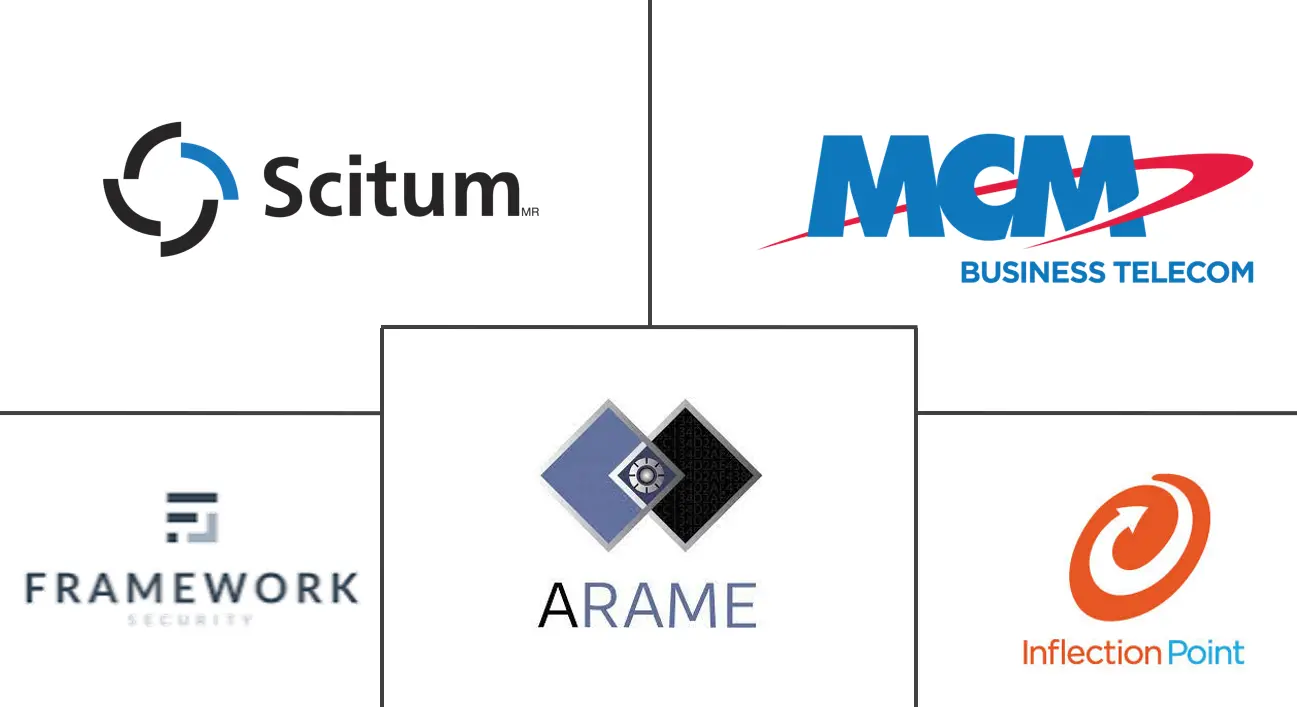 墨西哥网络安全市场规模和份额