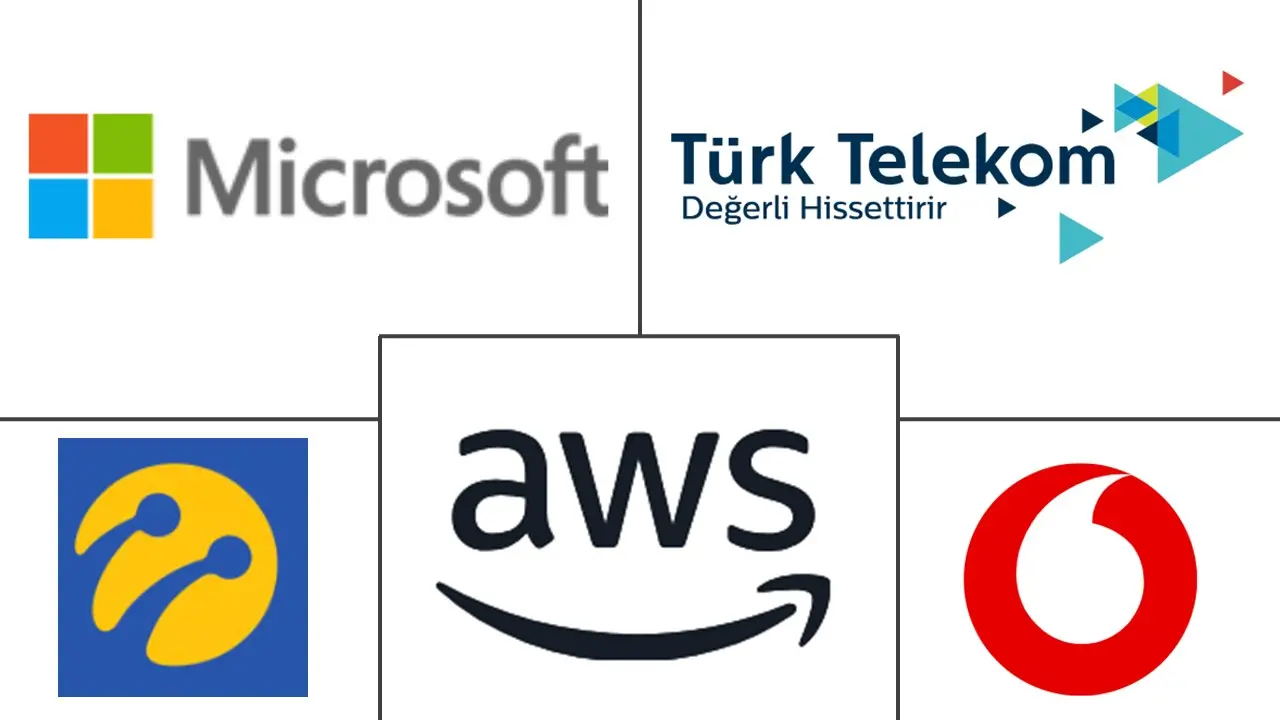 土耳其 ICT 市场规模和份额