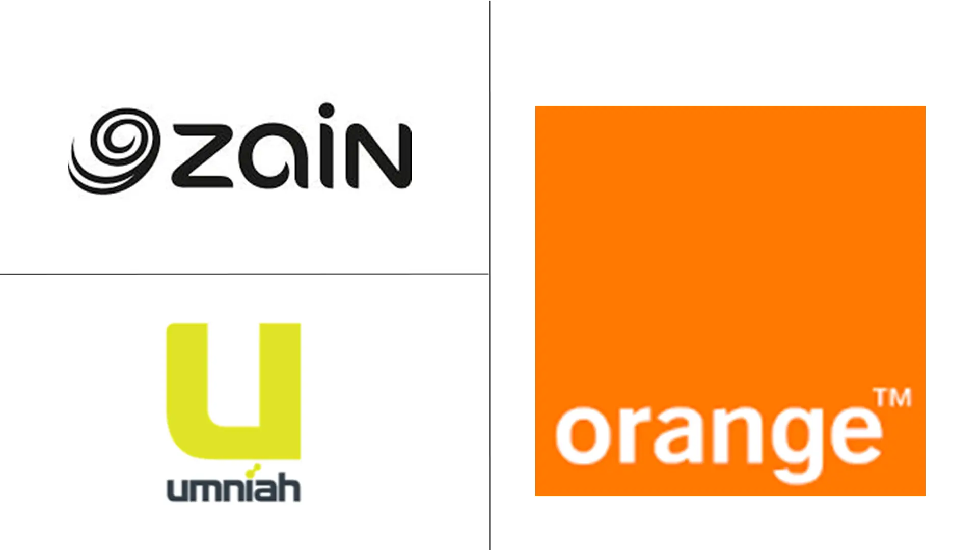 约旦电信 MNO 市场规模和份额