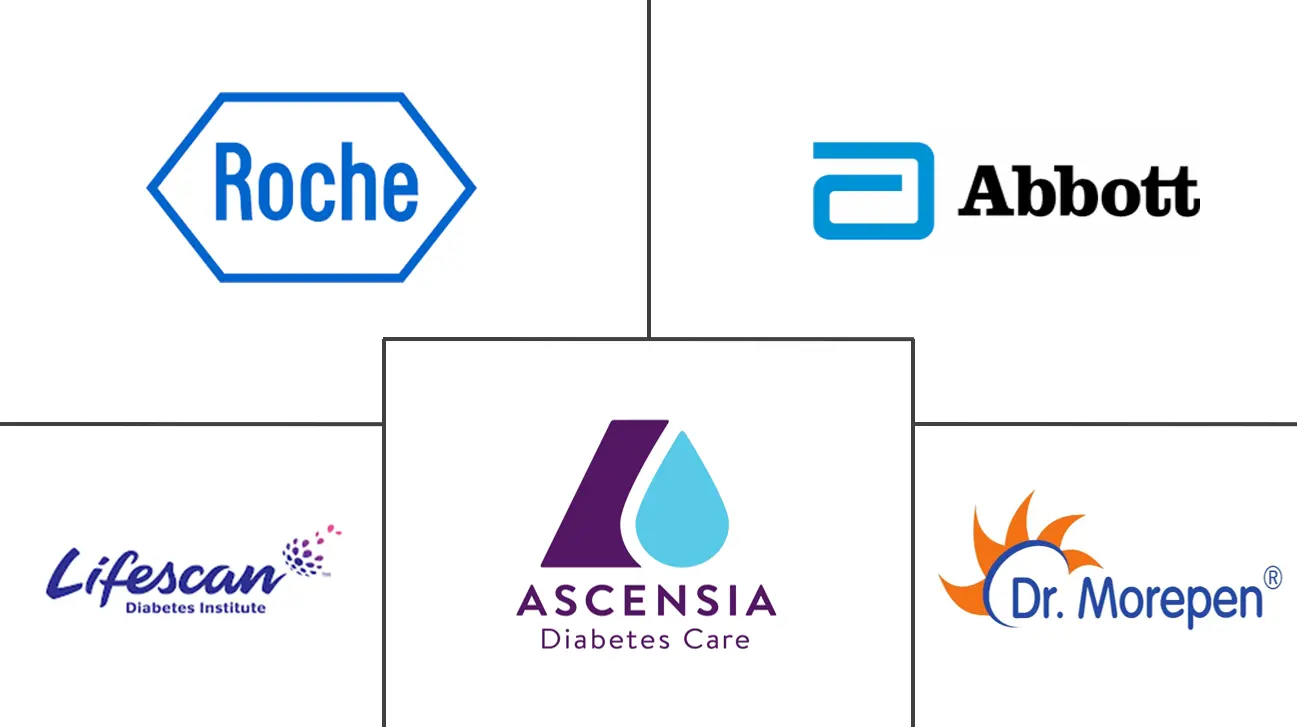 印度自我监测血糖设备市场规模和份额